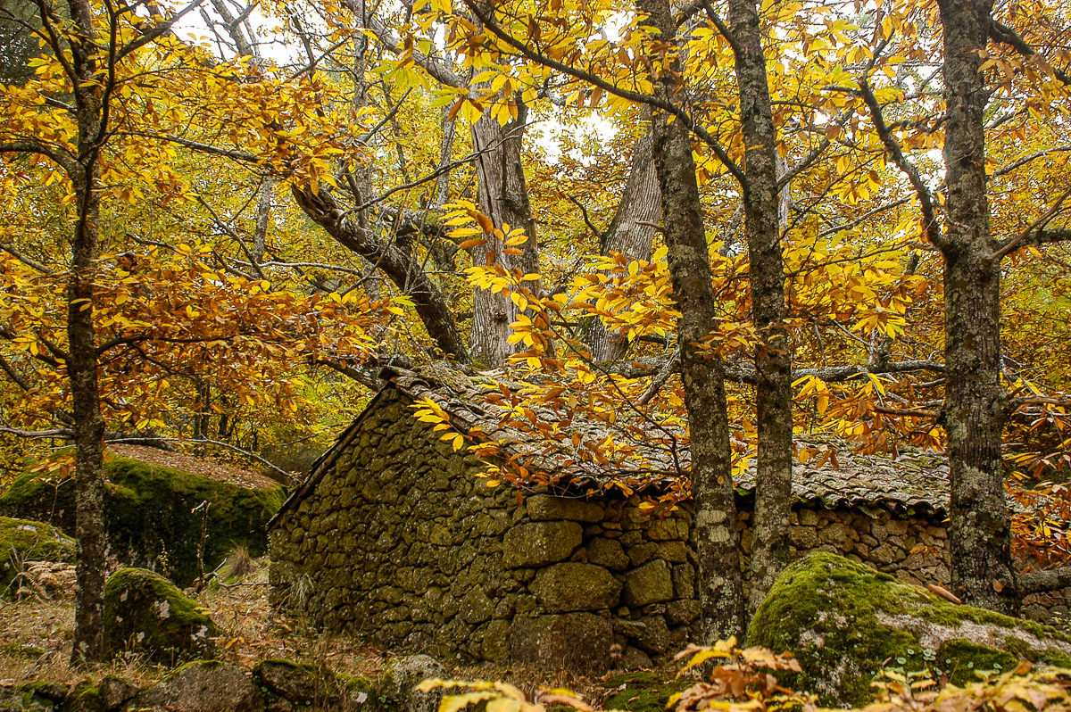 San Esteban del Valle